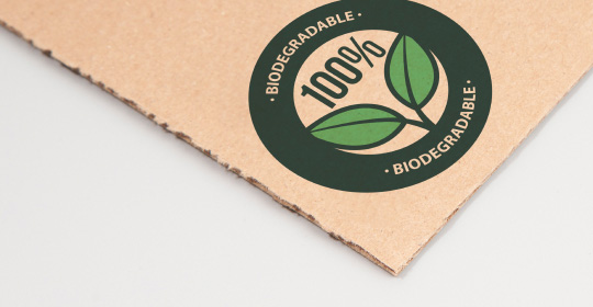 biodegradable box material